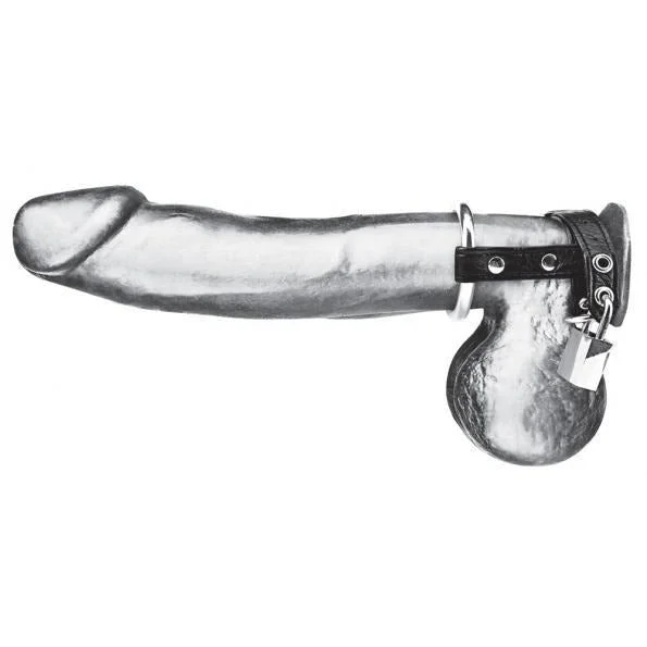 cock ring cold nights-Duo Cock And Ball Lock Cock Ring by C&B Gear