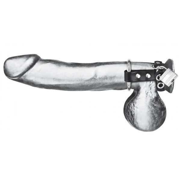 cock ring daily dose-Metal Cock Ring With Locking Ball Strap Single by C&B Gear